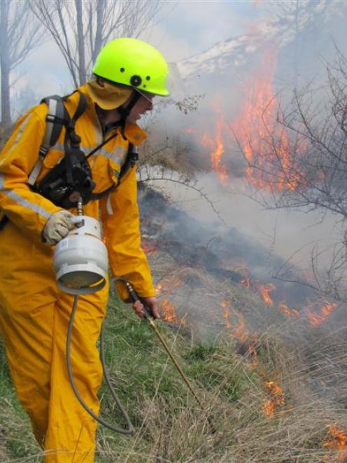 About half a hectare of private land was set alight by Doc Wakatipu rural fire operations manager...
