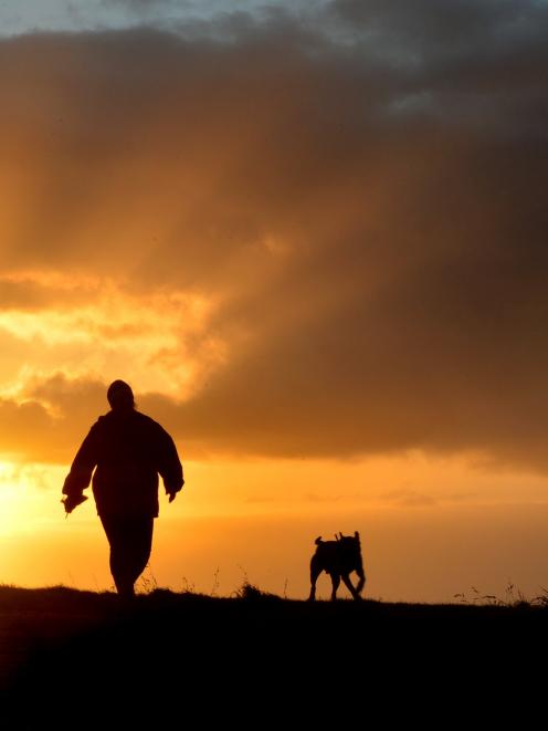 Adele Johnston, walking her dog Harley on John Wilson Ocean Dr last week, is calling on ''lazy''...