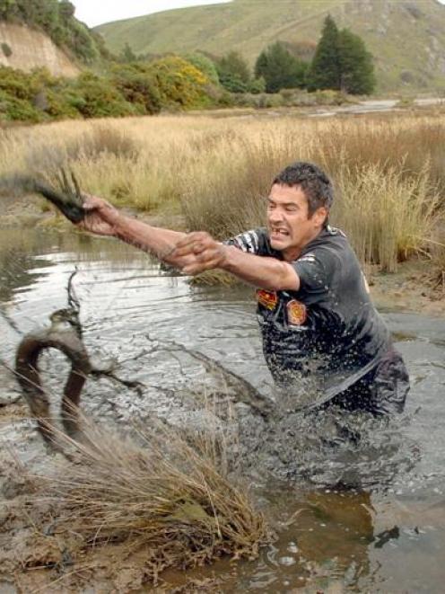 After feeling around in its muddy underwater hole, Og Dawson flings an eel from the Akatore creek.