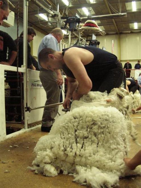 Agreement on funding the training of wool harvesters should ensure a new crop of champion...
