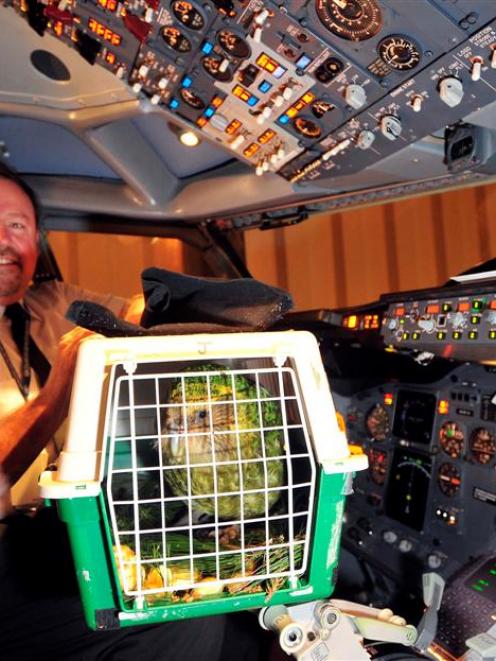 Air New Zealand captain Eric Fontein shows  Sirocco the cockpit. Photo by Craig Baxter.