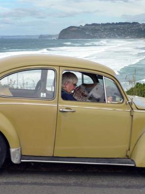 Alan Waugh, in his 1970 Volkswagen Beetle, was the first motorist waiting to drive on the...