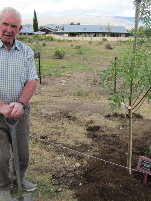 Allan Jackson, of Alexandra, plants a tree by the Alexandra Cemetery to commemorate his great...