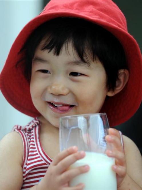 Allie Yin (2), of Dunedin, enjoys a glass of milk yesterday. Photo by Stephen Jaquiery.