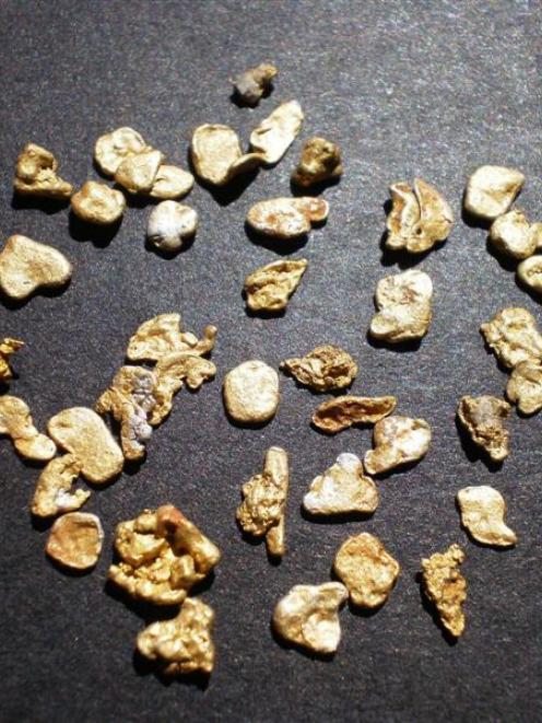 Alluvial (loose) gold from the Maniototo worth up to $6 million is expected to underpin Glass...