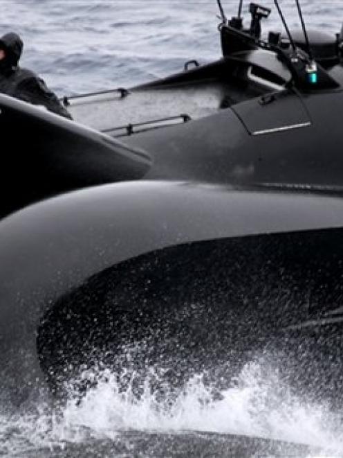 An activist of the Sea Shepherd Conservation Society aboard the anti-whaling group's vessel Ady...