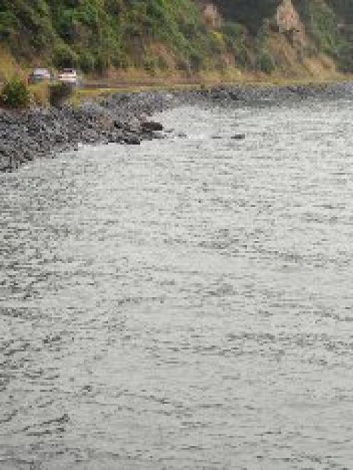 Another car ends up in Otago Harbour along the peninsula coastal road recently. Photo by Peter...