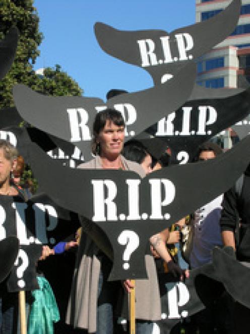 Greenpeace anti-whaling protesters gather at Parliament