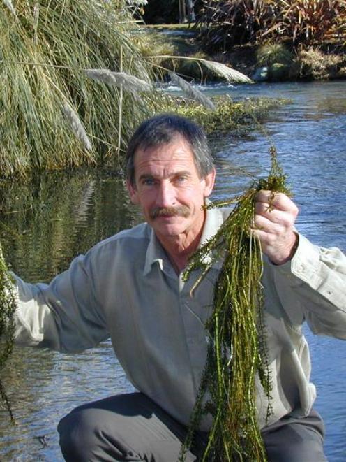 Aquatic plant scientist Dr John Clayton displays  lake weed pulled from Bullock Creek, in Wanaka,...
