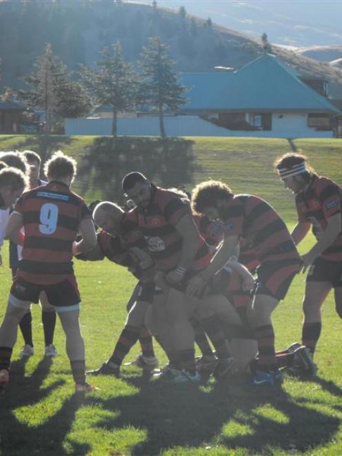 Arrowtown forwards pack down a scrum against Cromwell on Saturday. Arrowtown won 62-5. Photo by...