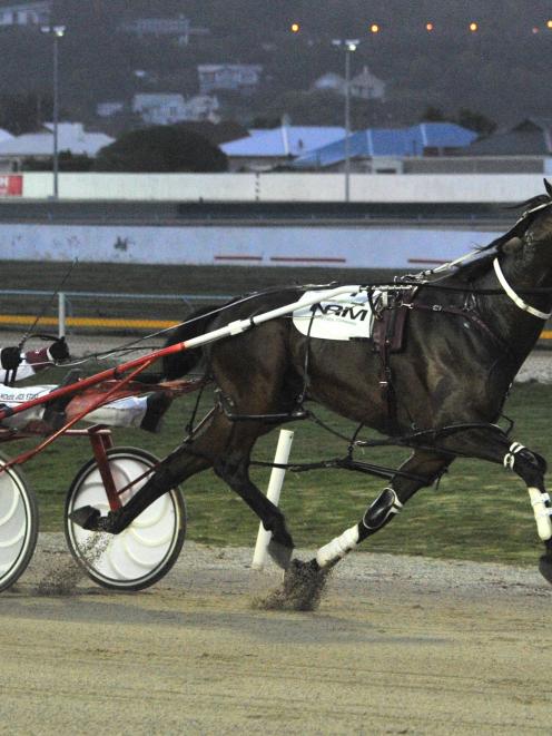 Art Union is a comfortable winner in the $25,000 Sires' Stakes heat at Forbury Park last night....