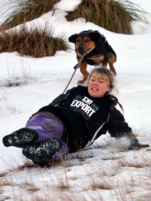 Ashley Broadman and her dog Wade skitter down the slope during the Queenstown Winter Festival dog...