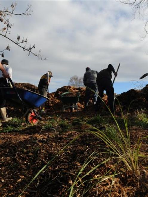 Balmacewen Intermediate School teachers, with help from Dunedin Environment Centre, spread mulch...