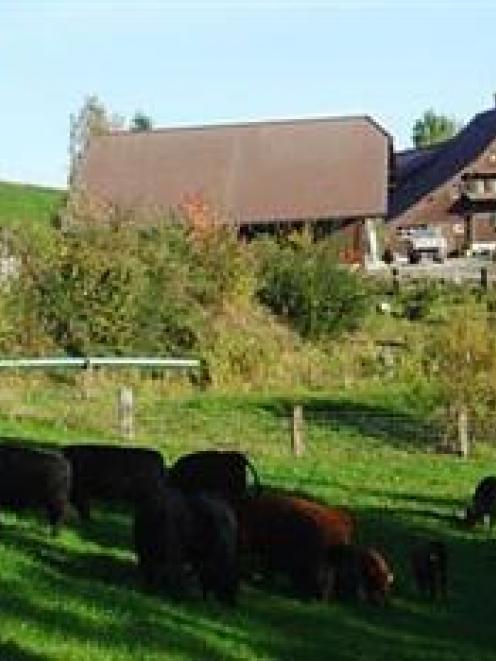 Barbara Schwenk's family home, near Lucerne, in Switzerland, in the centre of the photograph,...