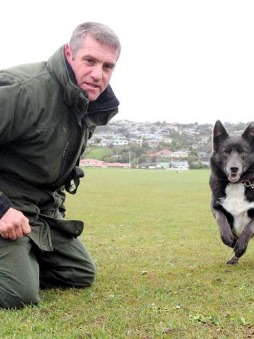 Barry Dougherty puts his search and rescue dog Yip through her paces. Photo by Craig Baxter.