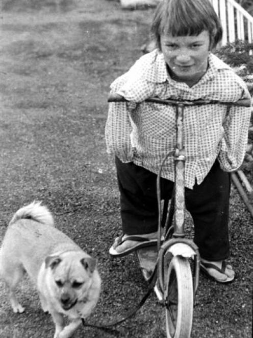 Barry (then 14), goes for a ride on his scooter with dog Meka.  Photo by Oamaru Mail.