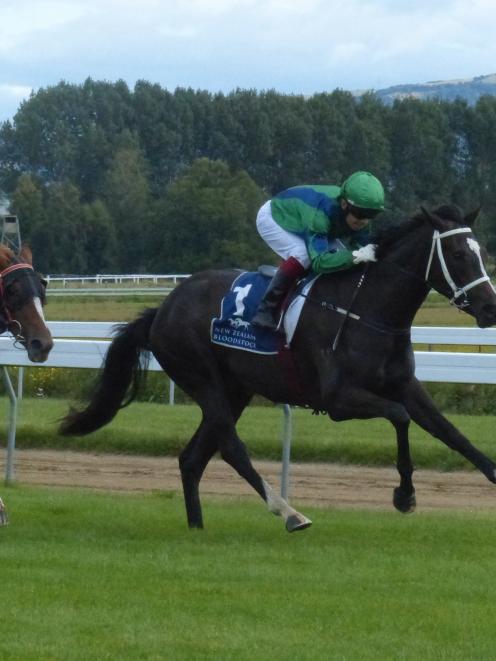 Belle Miraaj will have a new rider in Samantha Wynne for her tilt at the Southland Guineas at...
