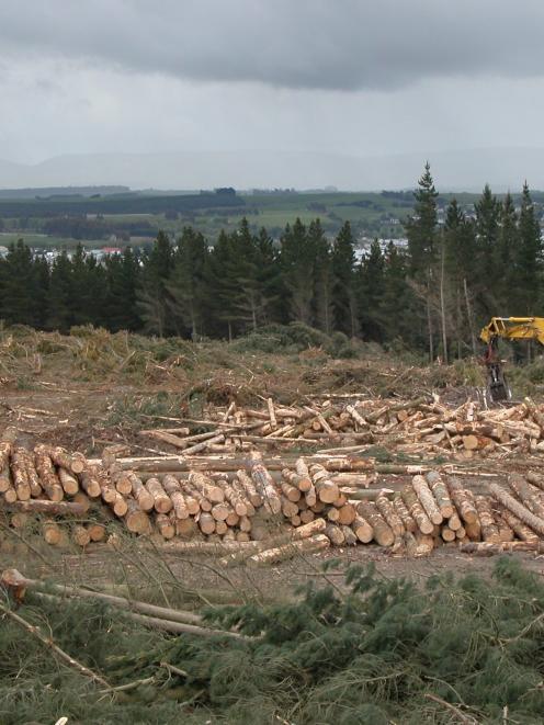 A new programme should result in less waste from forestry. Photo by Glenn Conway.