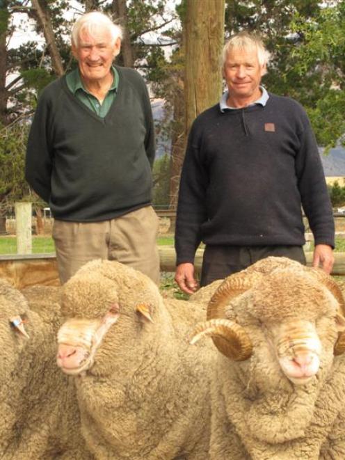 Bill (left) and Robert Gibson are planning to keep up an 81-year tradition by taking merinos to...