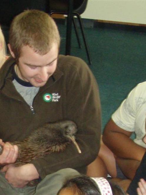 Bird keeper Paul Kavanagh shows Wairuakiwi to pupils at the Wainui Primary School the day before...