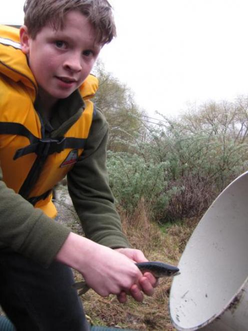 Blaine  McGann (12), of Roxburgh, helps release chinook salmon smolt  into the Clutha River ...