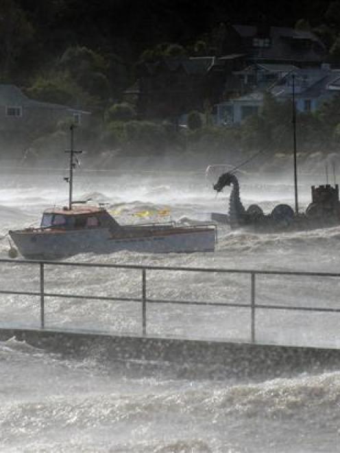 Boats moored at Macandrew Bay rock in the wind. Photo by Craig Baxter.