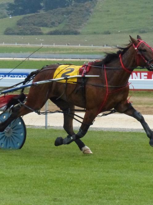 Boomer Bailey, seen here winning at Oamaru last month for Jay Abernethy, is Matthew Williamson's...