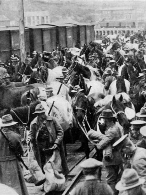 Bringing up the last of the horses to the troopships at Port Chalmers wharf. - Otago Witness, 30...