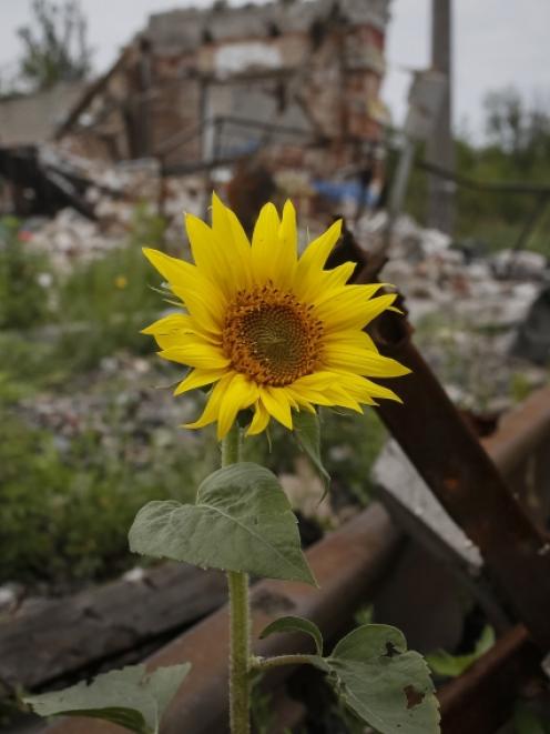 Buildings damaged by a recent shelling are seen in the eastern Ukrainian village of Semenovka....