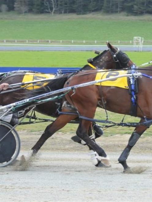 Buy Chevron Direct wins at Oamaru on Sunday. Photo by Tayler Strong.