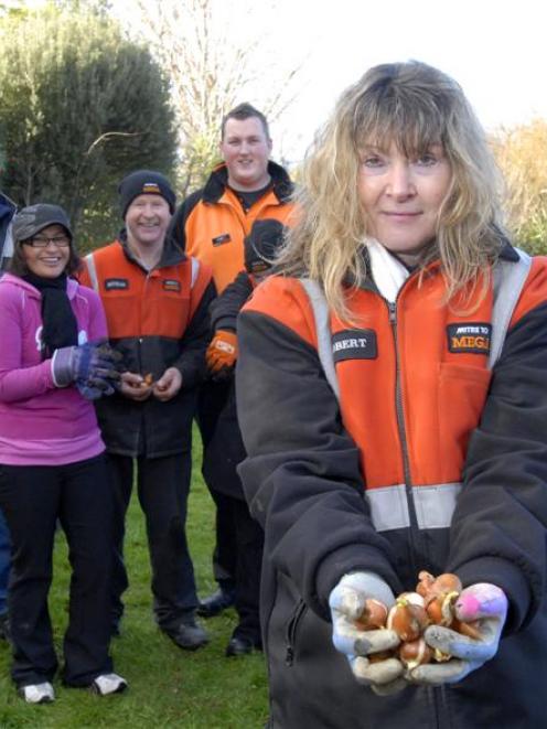 Carolyn Tucker (front) and fellow volunteers from Mitre 10 Mega were planting bulbs in the...
