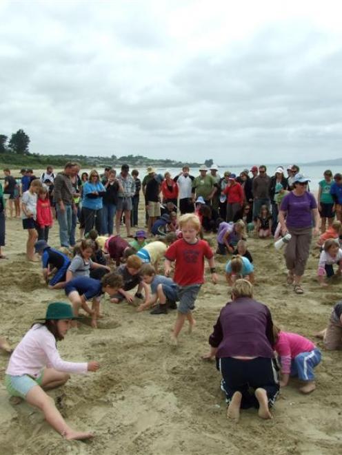 Children aged under 8 search for treasure in the annual Kaka Point Big Dig yesterday. Photo by...