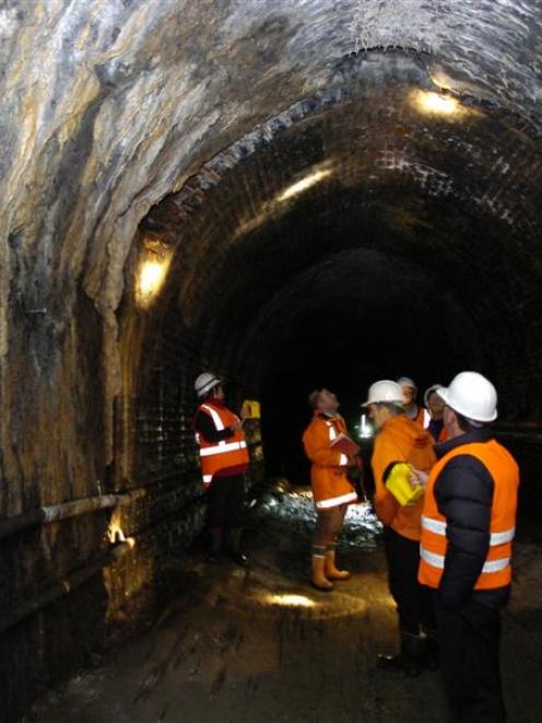 City councillors walk through the Caversham tunnel.