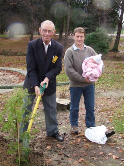 The oldest member of the Clark family, Ian Clark (78) plants a golden totara with the youngest...