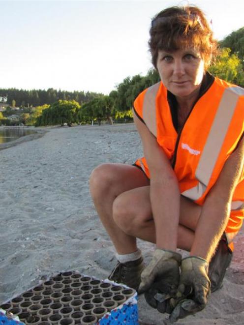 Cleaning the beach at 6.45am yesterday was Downer EDI employee Debbie Meek, of Alexandra. Photo...