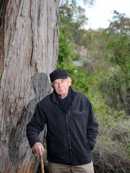Coastal Otago Conservation Award finalist Nigel McPherson stands beside a totara near the...