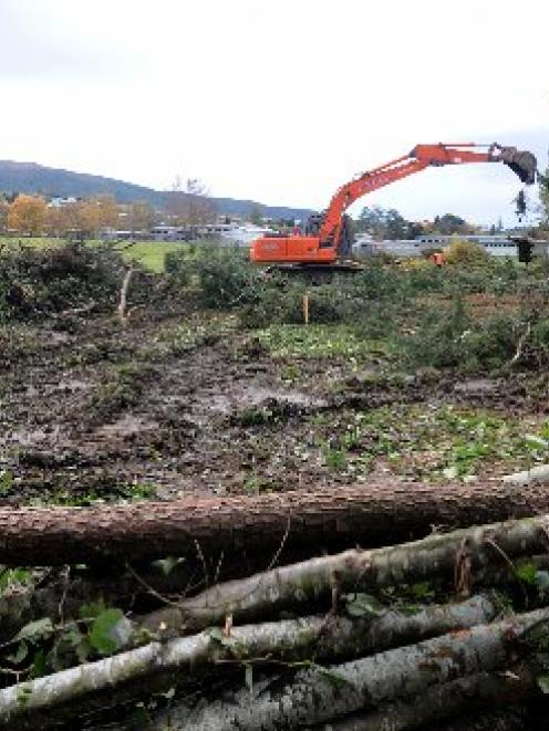 Contractors clear trees from the site of the Summerset at Bishopscourt retirement village, off...