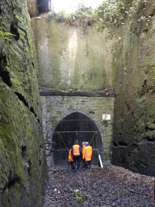 Councillors examine the entrance to the Caversham tunnel. Photo by Mark Price.