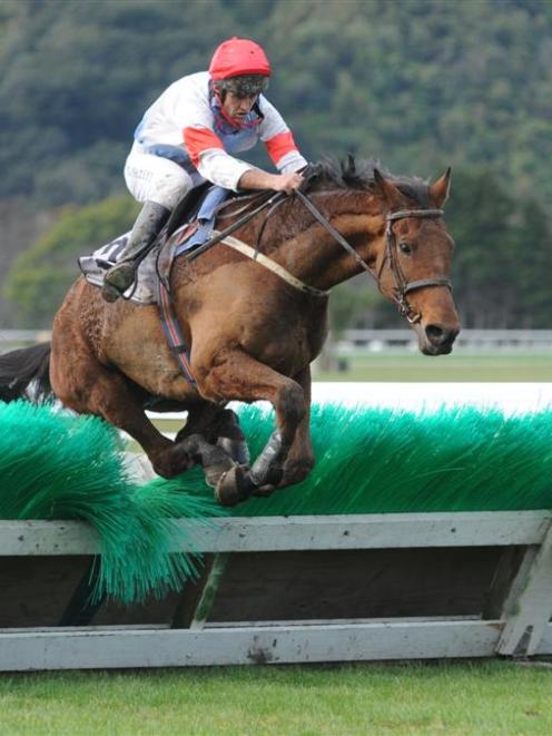 Counter Punch (Tommy Hazlett) clears the last fence on his way to winning the Wellington Hurdles...