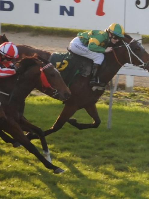 Courtney Barnes finishes second on It's Essential, after her saddle slipped at Wingatui on April...