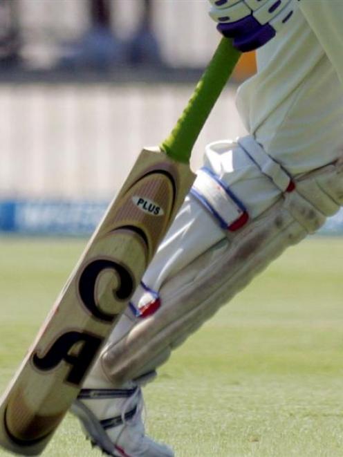 cricket_gen_jpg_520bdb4a9e.jpg