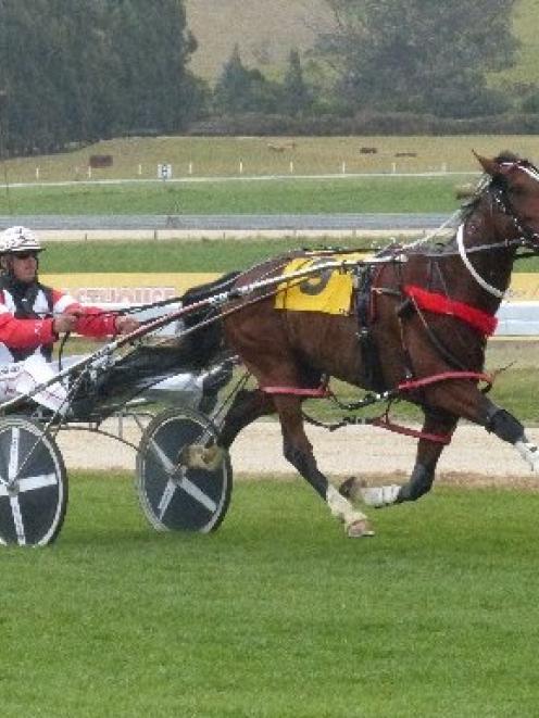 Cullect A Guinness and John Dunn on their way to a 3 length win in the feature pace at Oamaru on...
