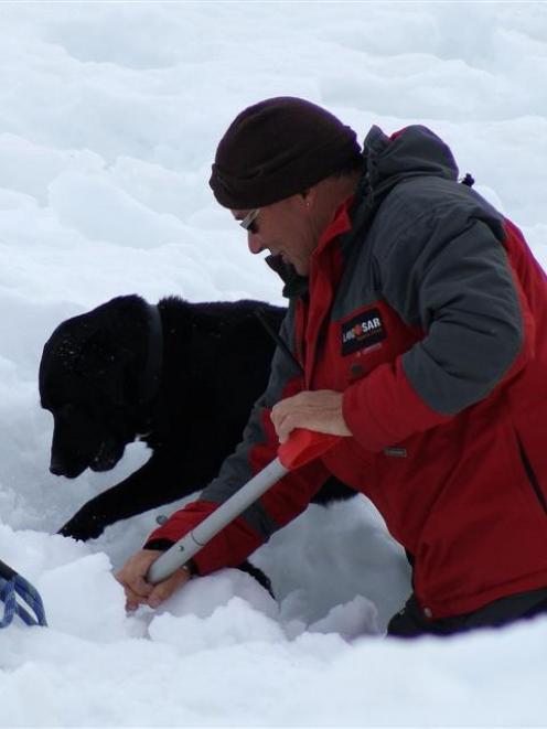 Stephen Hunter and Layla dig in the snow as part of the annual avalanche dog assessment at the...