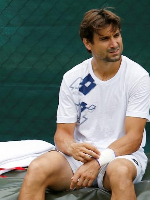 David Ferrer. Photo Reuters