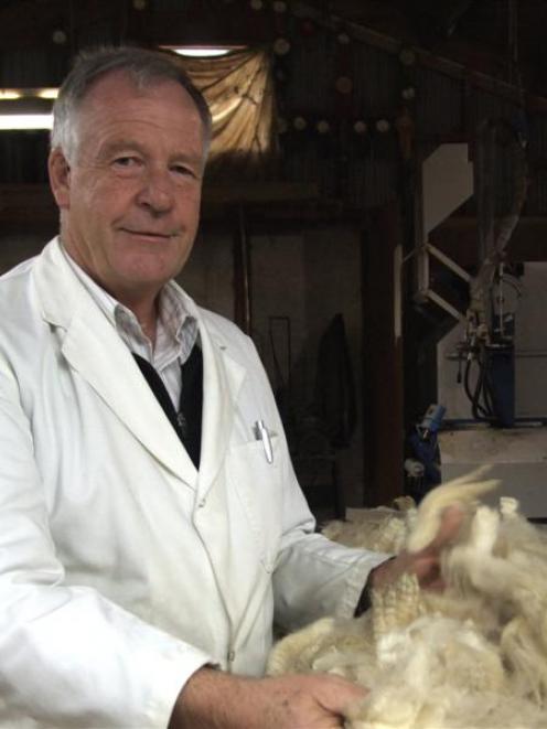 David Studholme inspects a fleece during judging of the national Golden Fleece competition. Photo...