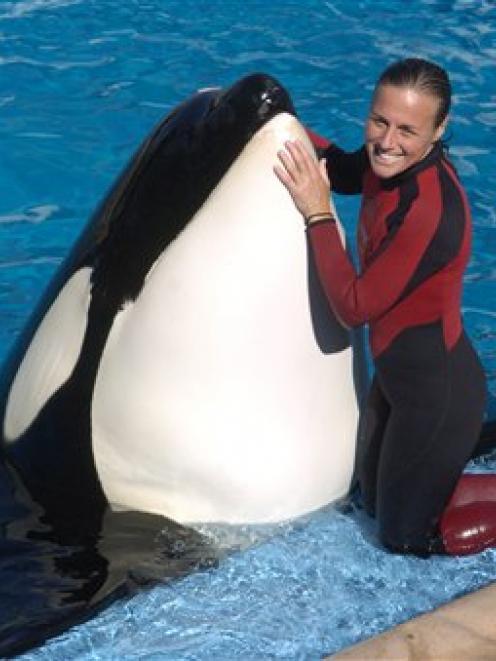 Dawn Brancheau, a whale trainer at SeaWorld Adventure Park, poses while performing. Brancheau was...