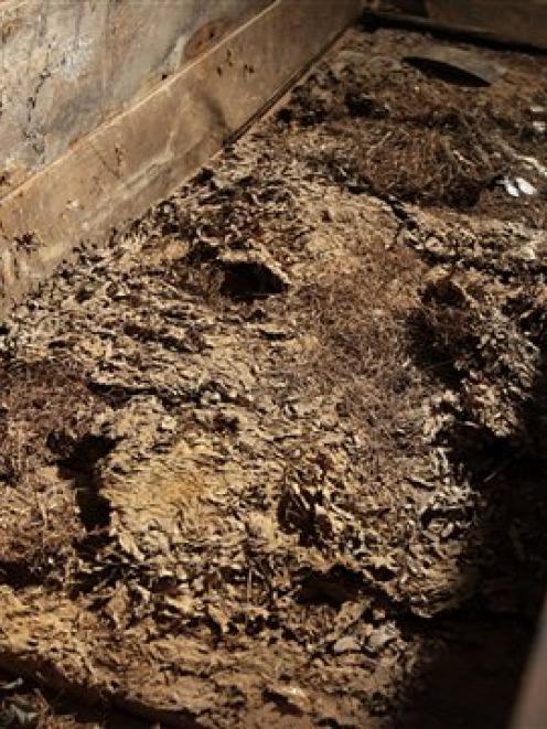 Debris is shown inside an wooden coffin in which John F. Kennedy's assassin Lee Harvey Oswald was...