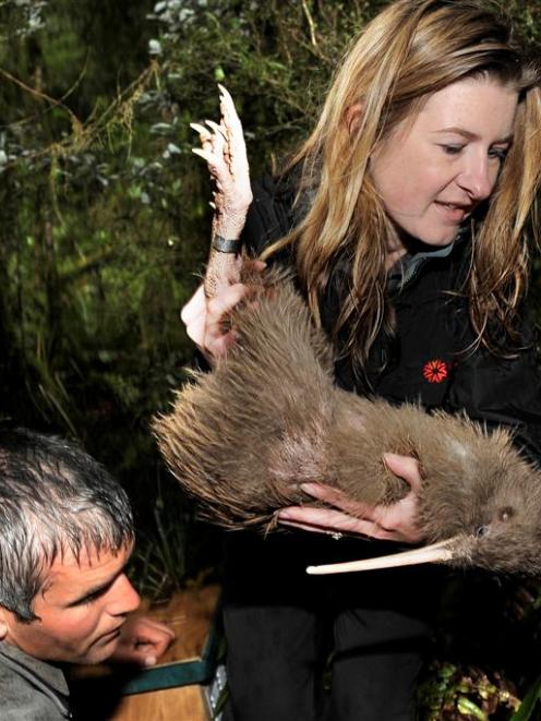 Department of Conservation biodiversity ranger Peter Kirkman and Southern Discoveries marketing...