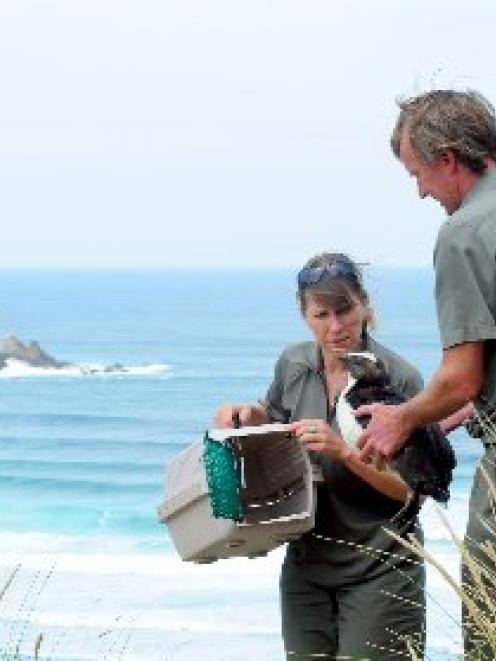 Department of Conservation community relations ranger Claudia Babirat and marine ranger Jim Fyfe...