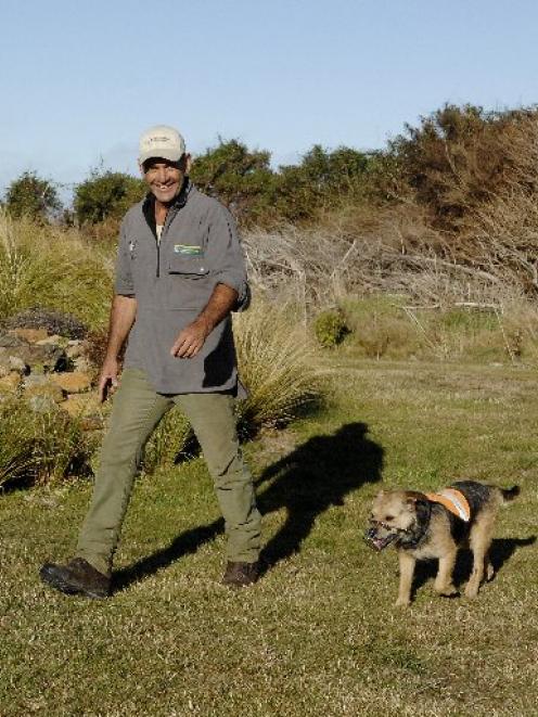 Department of Conservation senior technical support officer Scott Theobald and his terrier, Crete...